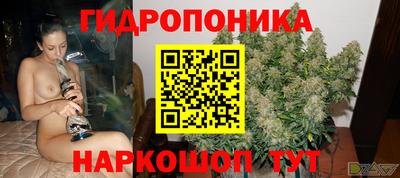 мдпв Аша